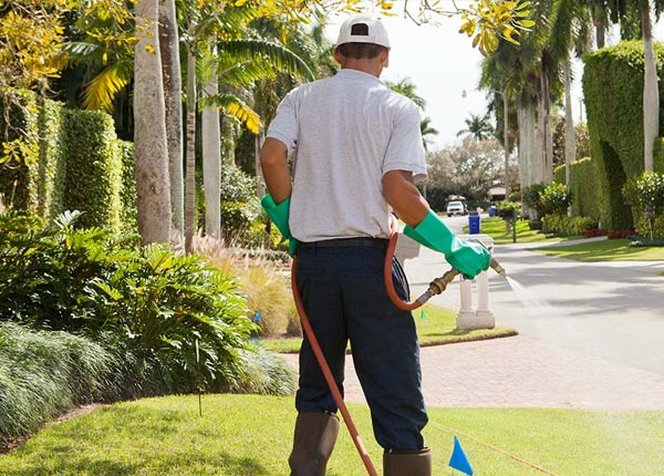 About Middlebourne WV Pest Control